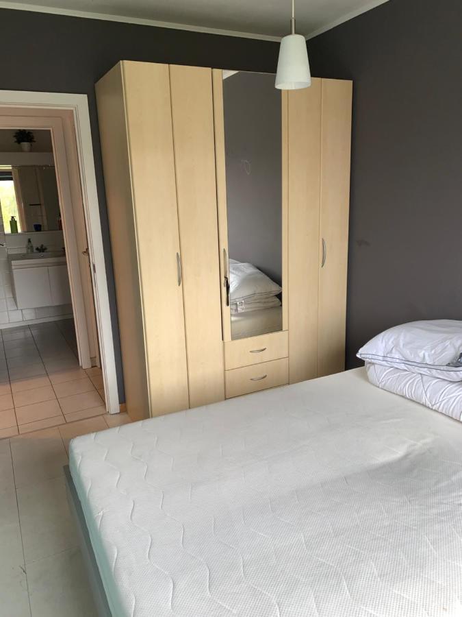 Okapi Apartman Halle  Kültér fotó