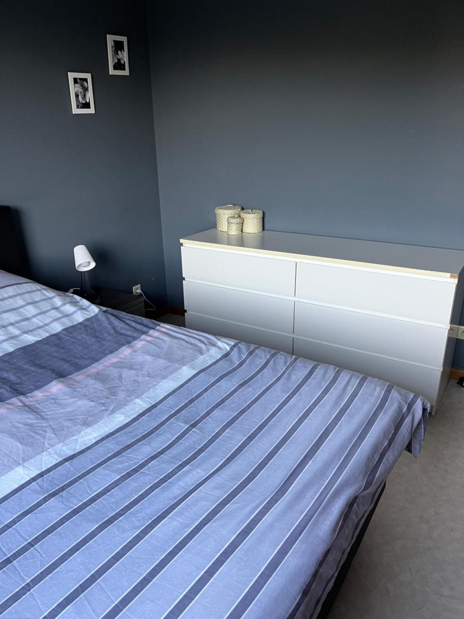 Okapi Apartman Halle  Kültér fotó